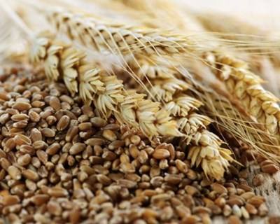 Guiné e FAO assinam acordos para aumentar produção de cereais e animais