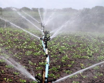 Gulbenkian Água apoia projetos dirigidos ao setor agrícola