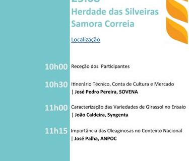Herdade das Silveiras recebe "Dia de Campo Cultura do Girassol"