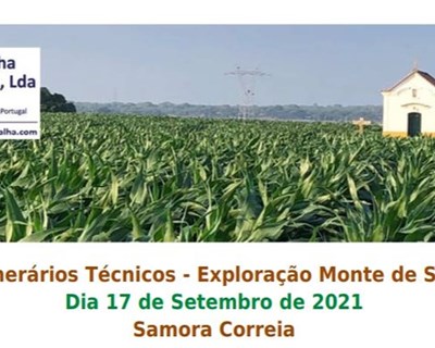 Herdade Monte de Santo Isidro recebe itinerários técnicos focados na sustentabilidade económica e ambiental das explorações agrícolas