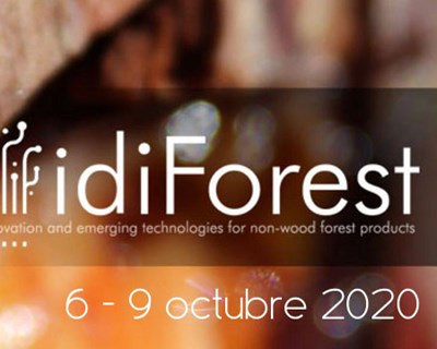 idiForest realiza-se em outubro