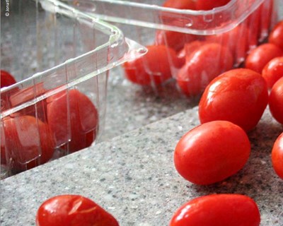 Indústria do tomate receia prejuízos diários de €4milhões devido à greve
