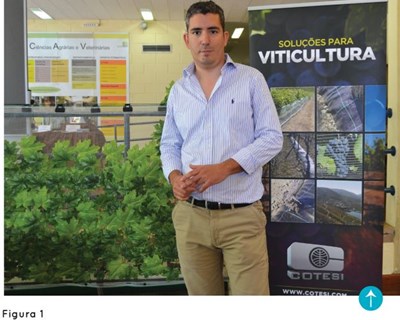 Inovação como pilar da sustentabilidade vitivinícola Vila Real – Jornadas sobre a Sustentabilidade da Fileira Vitivinícola