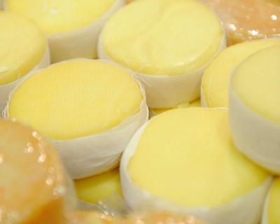 Inovcluster lança primeira rota no país que promove a valorização turística do queijo com DOP