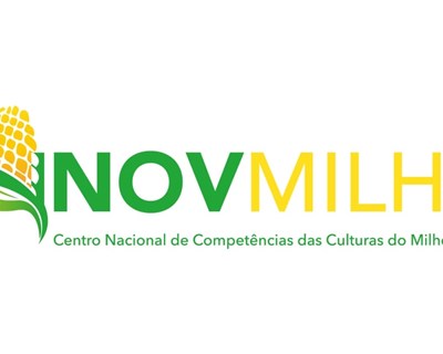InovMilho publica nova Agenda de Inovação