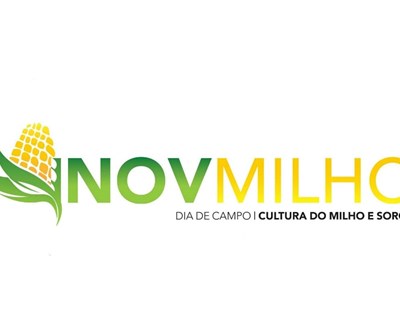 InovMilho realiza Dia de Campo e apresenta tecnologias sustentáveis