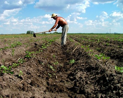 Inquérito aos Jovens Agricultores e Jovens Empresários Rurais