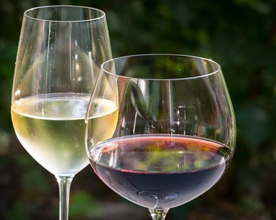 Instituto dos Vinhos do Porto e do Douro vai fiscalizar mais vinhos de baixo custo