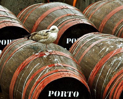 Investigação: Vinho do Porto à venda com idade falsa