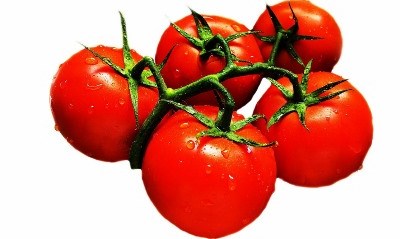 Investigadores desenvolvem método que acelera crescimento do tomate