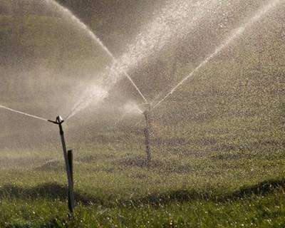 Investigadores desenvolvem sistema inovador de irrigação nas culturas