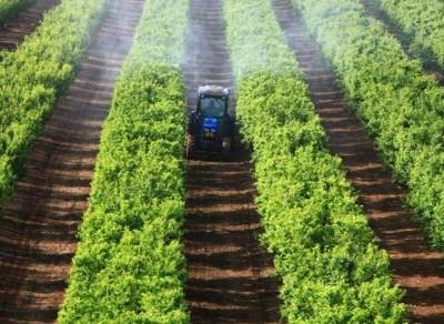 Israel: Agritech mostra inovações agrícolas em abril