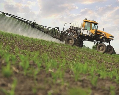 Israel promove formação de tecnologias de irrigação e processos de cultivo