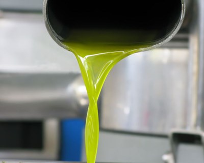 Itália com quebra de produção de azeite