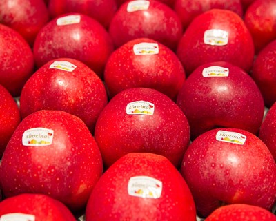 Já é possível exportar peras e maçãs para Singapura