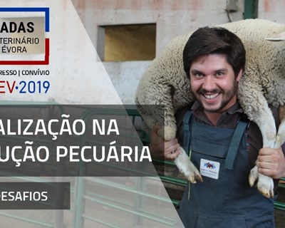 Jornadas Hospital Veterinário Muralha de Évora chegam em fevereiro