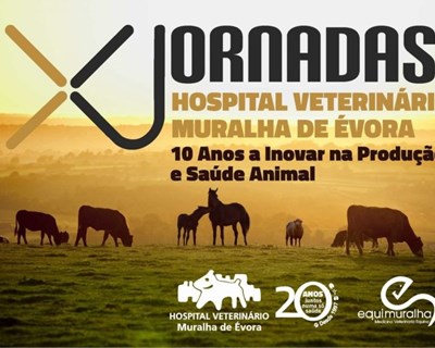 Jornadas Hospital Veterinário Muralha de Évora chegam em março