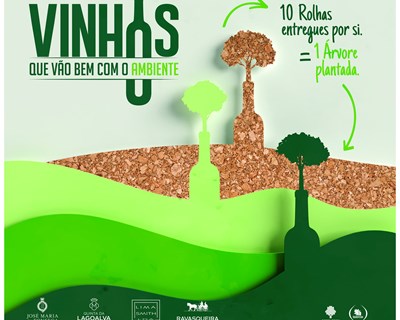 José Maria da Fonseca contribui para reflorestação nacional com campanha de recolha de rolhas de cortiça