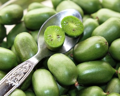 Kiwis miniatura e cenouras roxas são negócios da terra com potencial