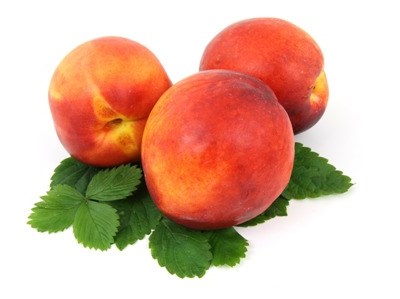 Leiria: exportações de fruta no distrito atingem €51,9 milhões