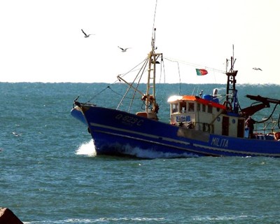 Licenças de pesca profissional não precisam ser renovadas para 2020