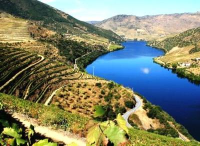 Lisboa e Porto debatem sustentabilidade da viticultura de encosta