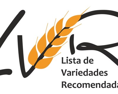 Lista de Variedades Recomendadas de Trigo Mole e Trigo Duro