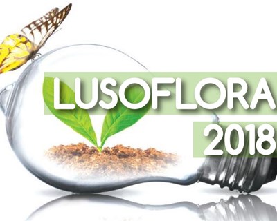 Lusoflora regressa em fevereiro «mais fresca e digital»