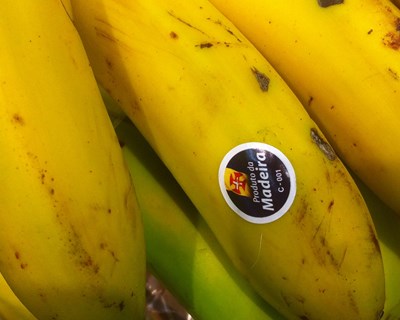 Madeira aprova redução do adiantamento da ajuda comunitária ao setor da banana