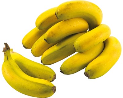 Madeira aumentou produção de banana e o mercado nacional absorveu 85%