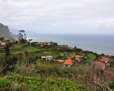 Madeira celebra protocolo para estimular expedição ou exportação de produtos de pesca e agroalimentares