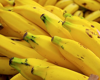 Madeira: produção de banana regista recorde