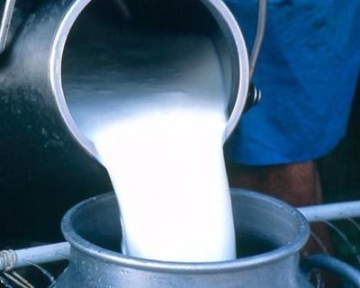 Maior produtor de leite do mundo pode duplicar produção em 2027