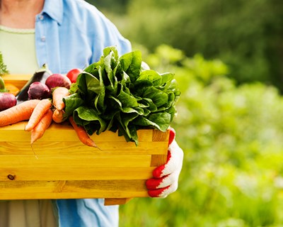 Manual sobre sustentabilidade na Agricultura disponível online