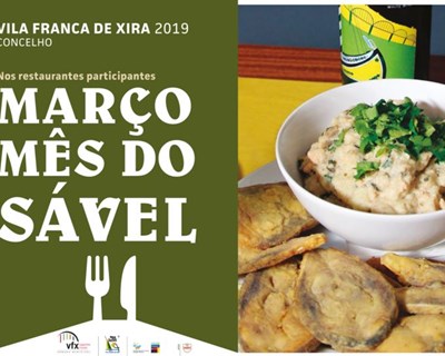 “Março, Mês do Sável” em Vila Franca de Xira