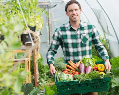 Já pensou por onde passam os produtos agrícolas antes de chegarem até si?