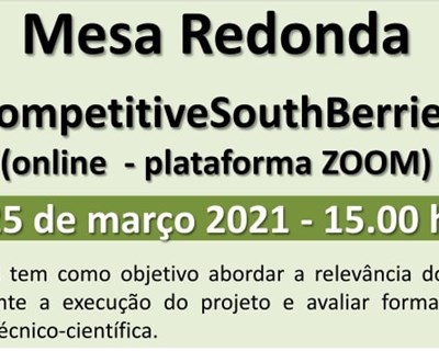 Mesa Redonda do GO – CompetitiveSouthBerries