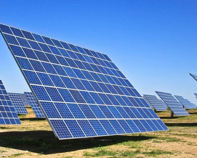 Ministério da Agricultura apresenta aviso para instalação de fotovoltaicos em explorações agrícolas