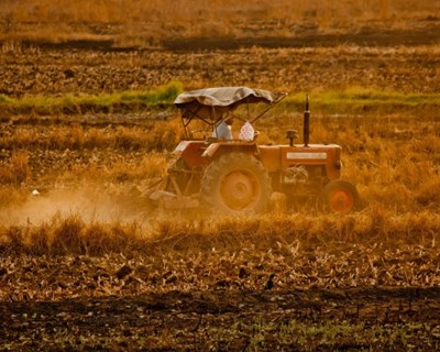 Ministério da Agricultura falha prazo de pagamentos aos agricultores