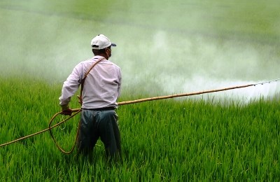 Ministério da Agricultura proíbe taloamina por ameaça à saúde