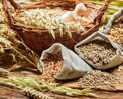 Ministra da Agricultura anuncia pagamentos ligados para os Cereais na 44ª AG do Clube Português dos Cereais de Qualidade