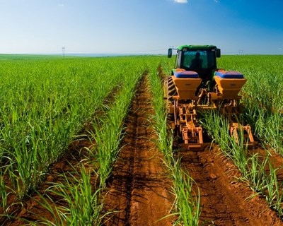 Ministra da Agricultura apresenta linha de crédito de 300 milhões de euros