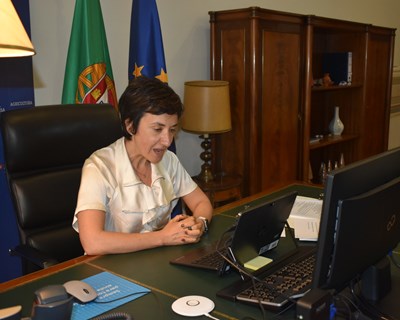 Ministra da Agricultura: «Os produtores e consumidores encontraram uma nova oportunidade para venda e compra de produtos»