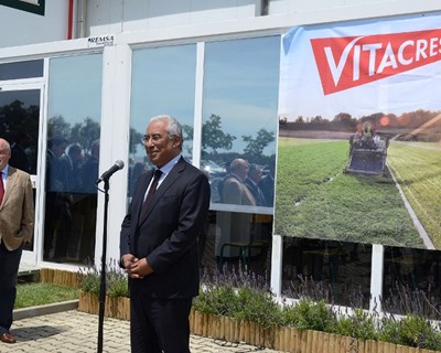 Ministro da Agricultura e primeiro-ministro visitam a Vitacress