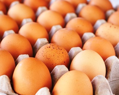 Ministro da Agricultura garante qualidade dos ovos em Portugal