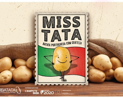 Marca coletiva Miss Tata ganha mais um prémio