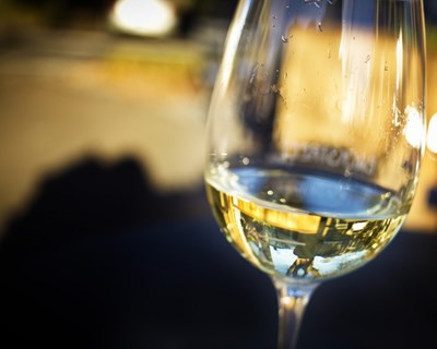 Monção recebe primeira edição de prova internacional de vinhos brancos