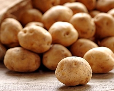 Montalegre reforça produção de batata