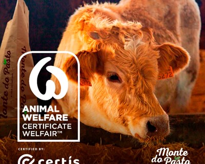 Monte do Pasto obtém a Certificação em Bem-Estar Animal “Animal Welfare – Certificação Welfair™”