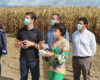 Montra tecnológica e medidas de estímulo da biodiversidade para a cultura do milho